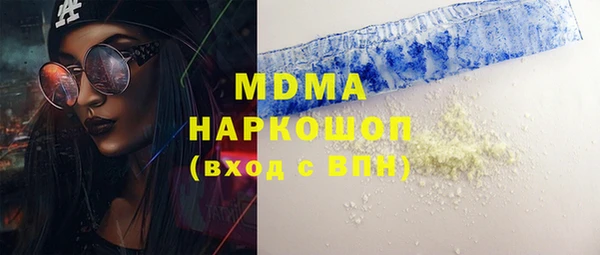 индика Краснослободск