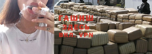 индика Краснослободск