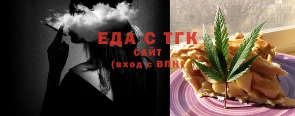 индика Краснослободск