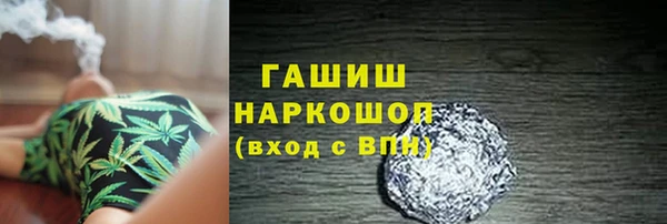 индика Краснослободск