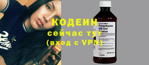 индика Краснослободск