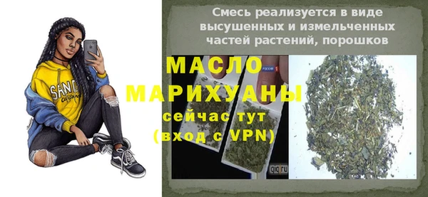 индика Краснослободск