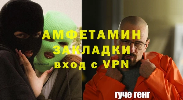 индика Краснослободск