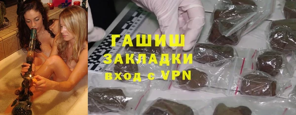 индика Краснослободск