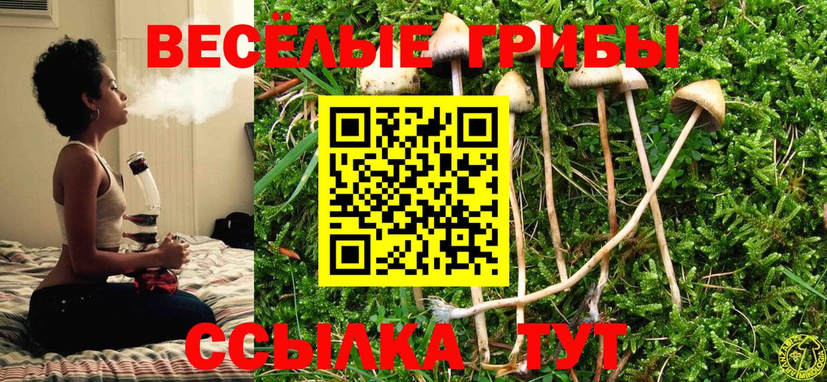 Альфа ПВП  МДМА  Канабис  МЕФ  Вход с VPN  ГАШ  Круглые  Ноябрьск  Ляпка  Марихуана 