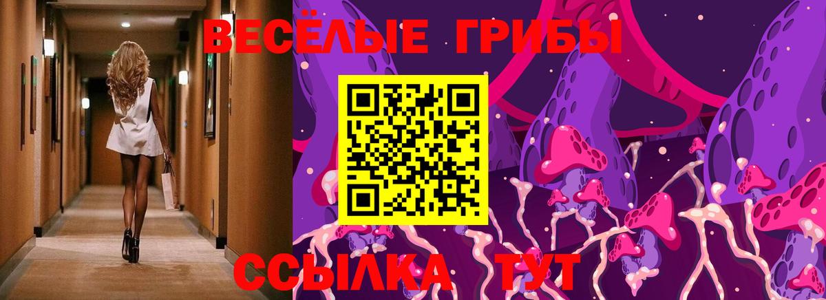 Псилоцибиновые грибы Magic Shrooms  Псилоцибиновые грибы ЛСД  Ноябрьск  Вход с VPN 