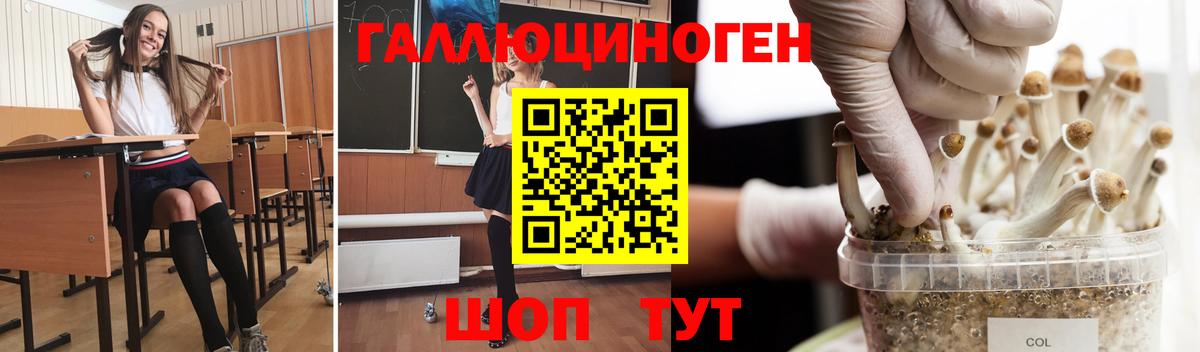 Псилоцибиновые грибы мухоморы Ноябрьск